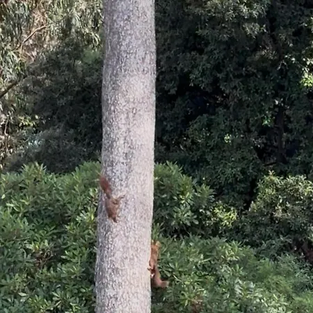 아파트 Lou Souleou