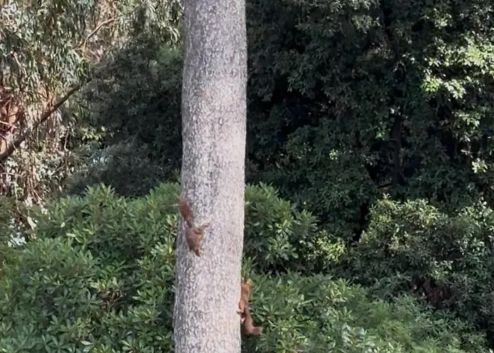 アパート Lou Souleou